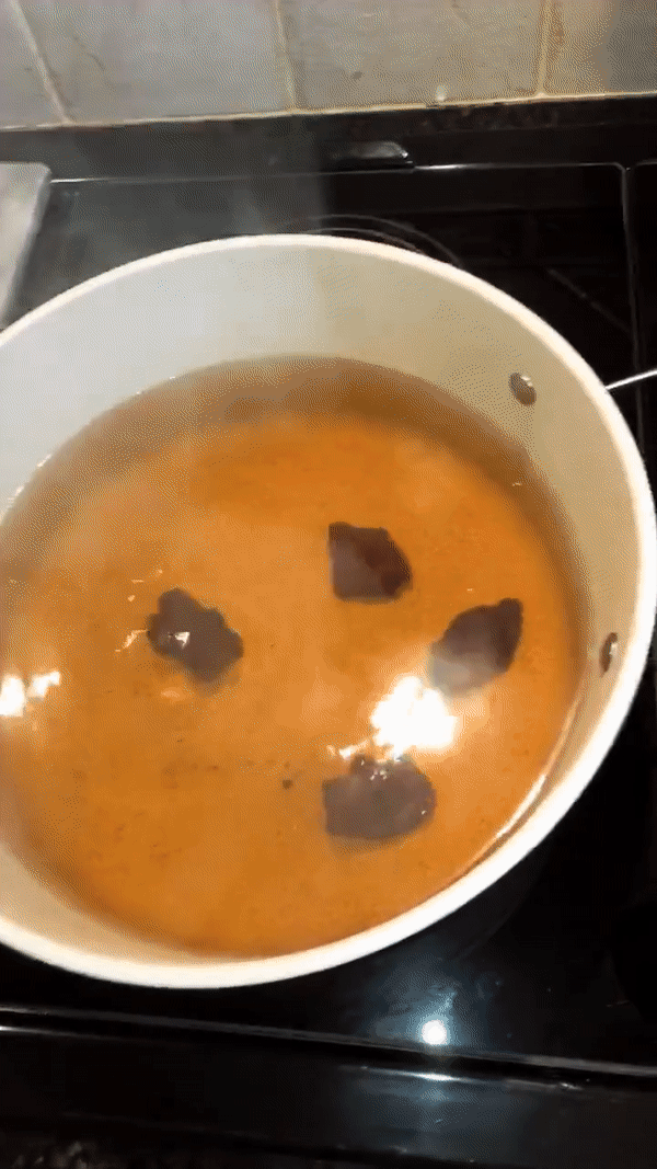 Adding chaga chunks in pot