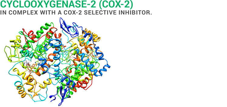 Cyclooxygenase-2 structure