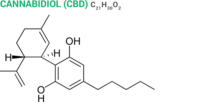 Capsaicin molecular structure