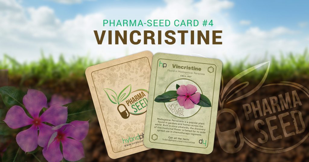 Pharma Seed Card #4 - Vincristine